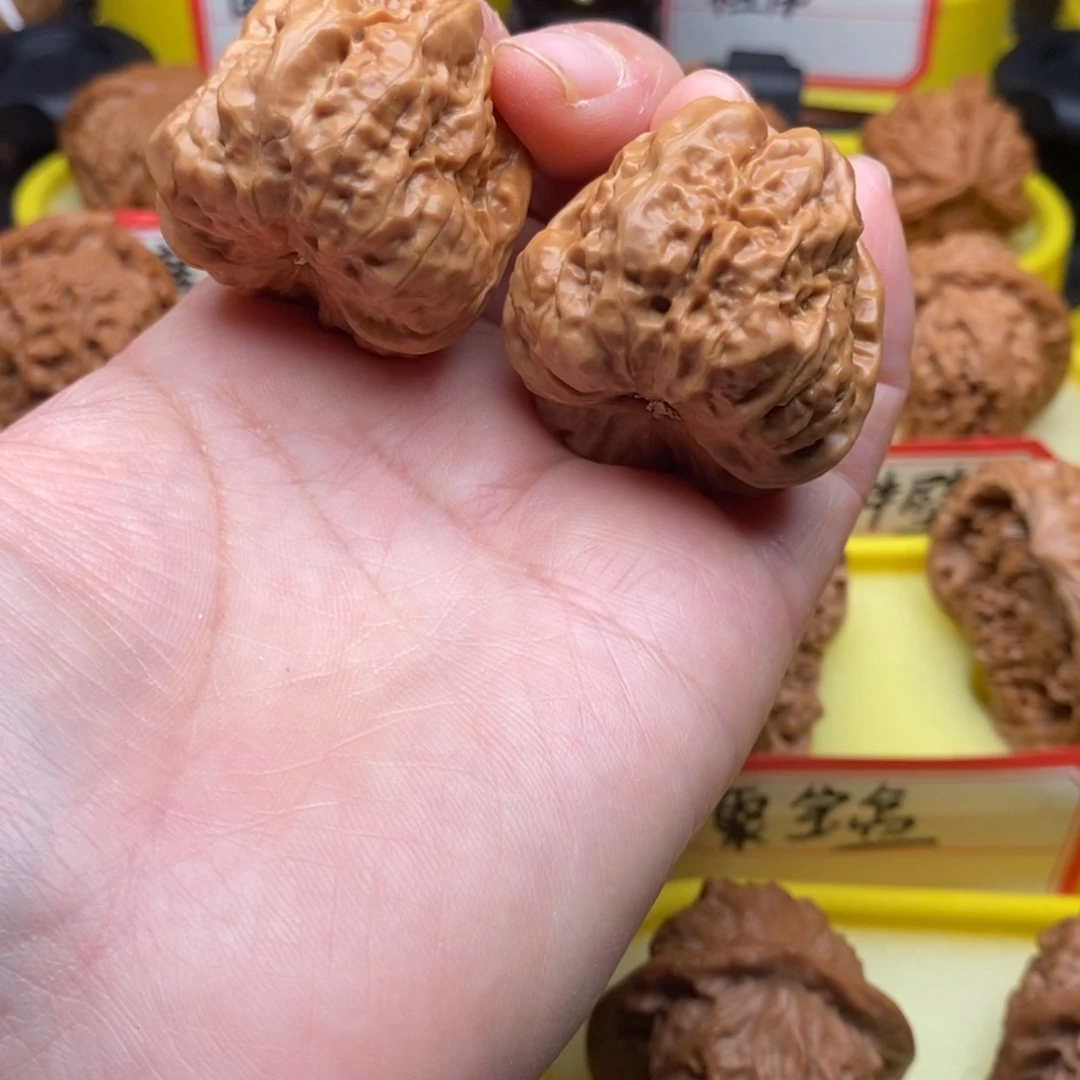 M***️菩提籽类蛤蟆头蛤