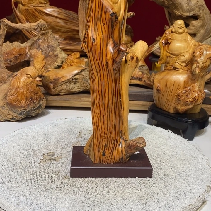 柏木（崖柏）88888888