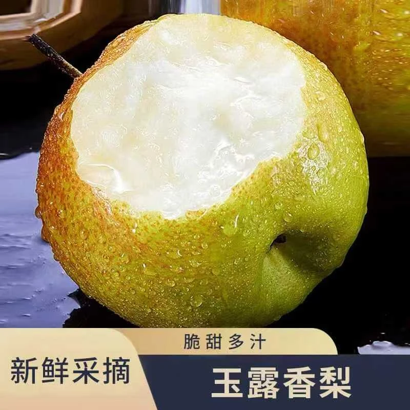 【顺丰包邮】玉露香梨丹霞红梨新鲜采摘脆甜多汁皮薄核小甘甜爽口