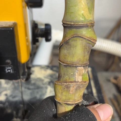 *****实心竹竹竹竹竹竹竹竹竹竹竹