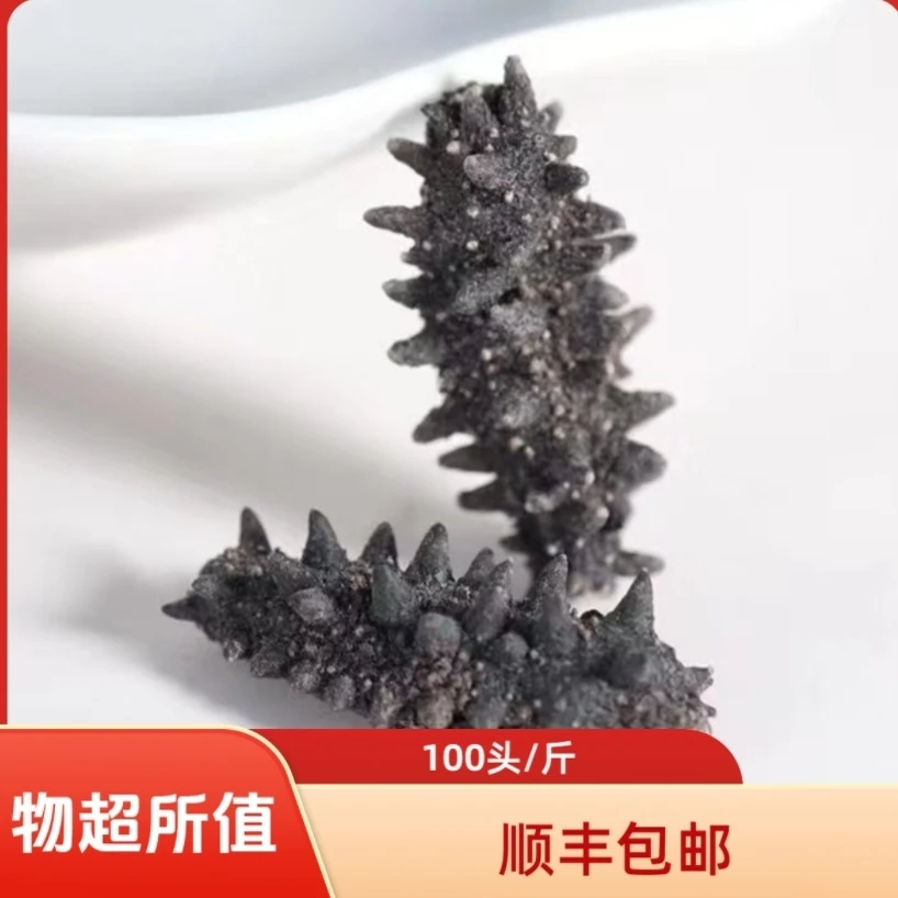 【飞飞精选】100头大红俄参(纯淡干)深海六排刺 海参