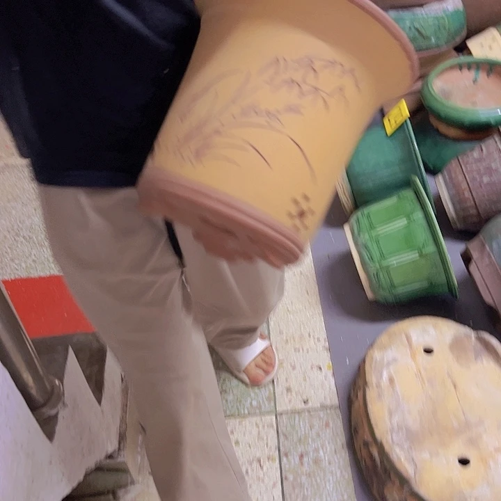 拂***尘。。。。。。。。。。。。。。。。。