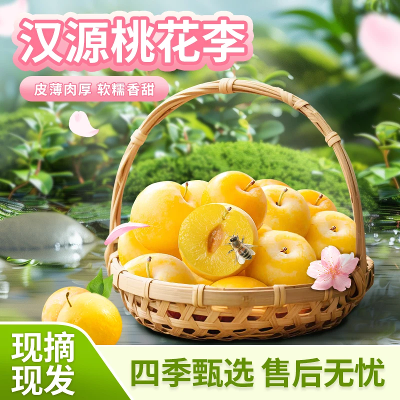 正宗四川汉源桃花李 黄金奈李 蜜甜多汁 现摘现发