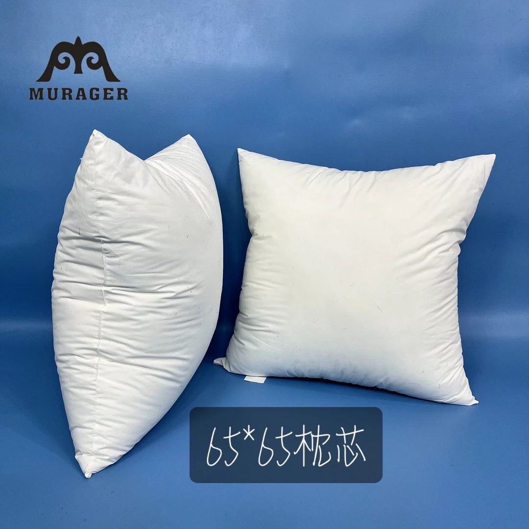 65*65枕芯抱枕芯子