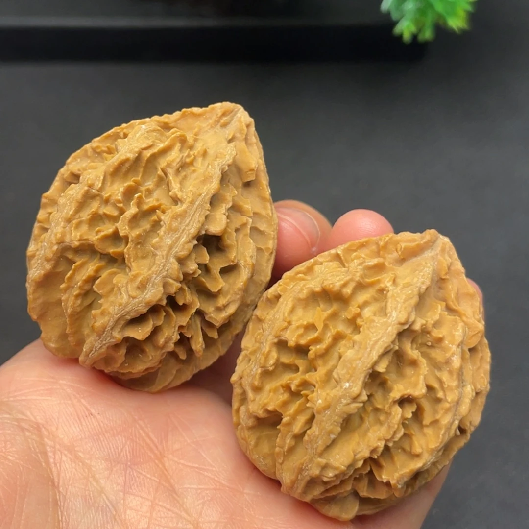 核桃秦岭野生核桃