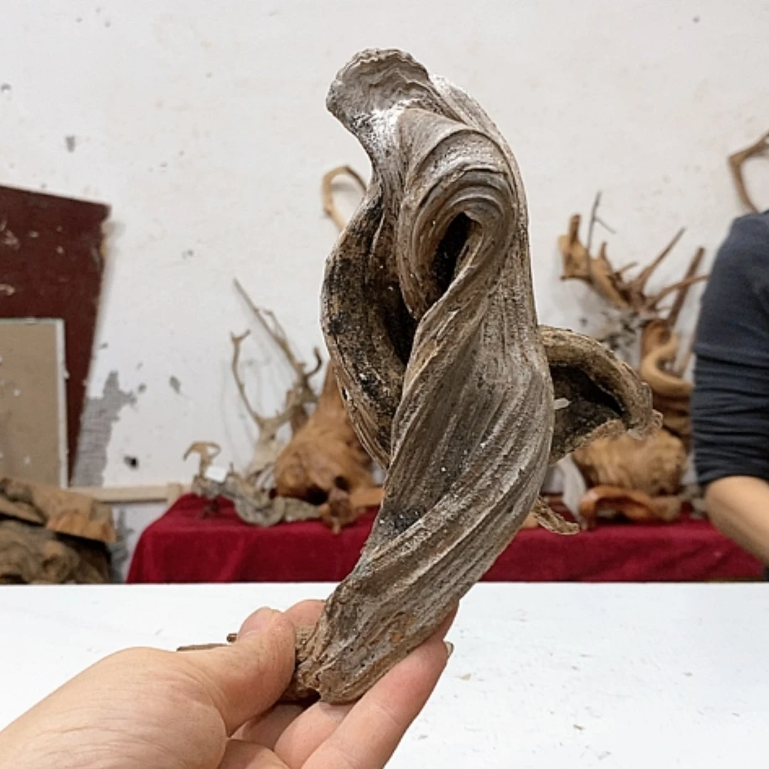 【闪购商品】柏木新**战我们都是好孩子