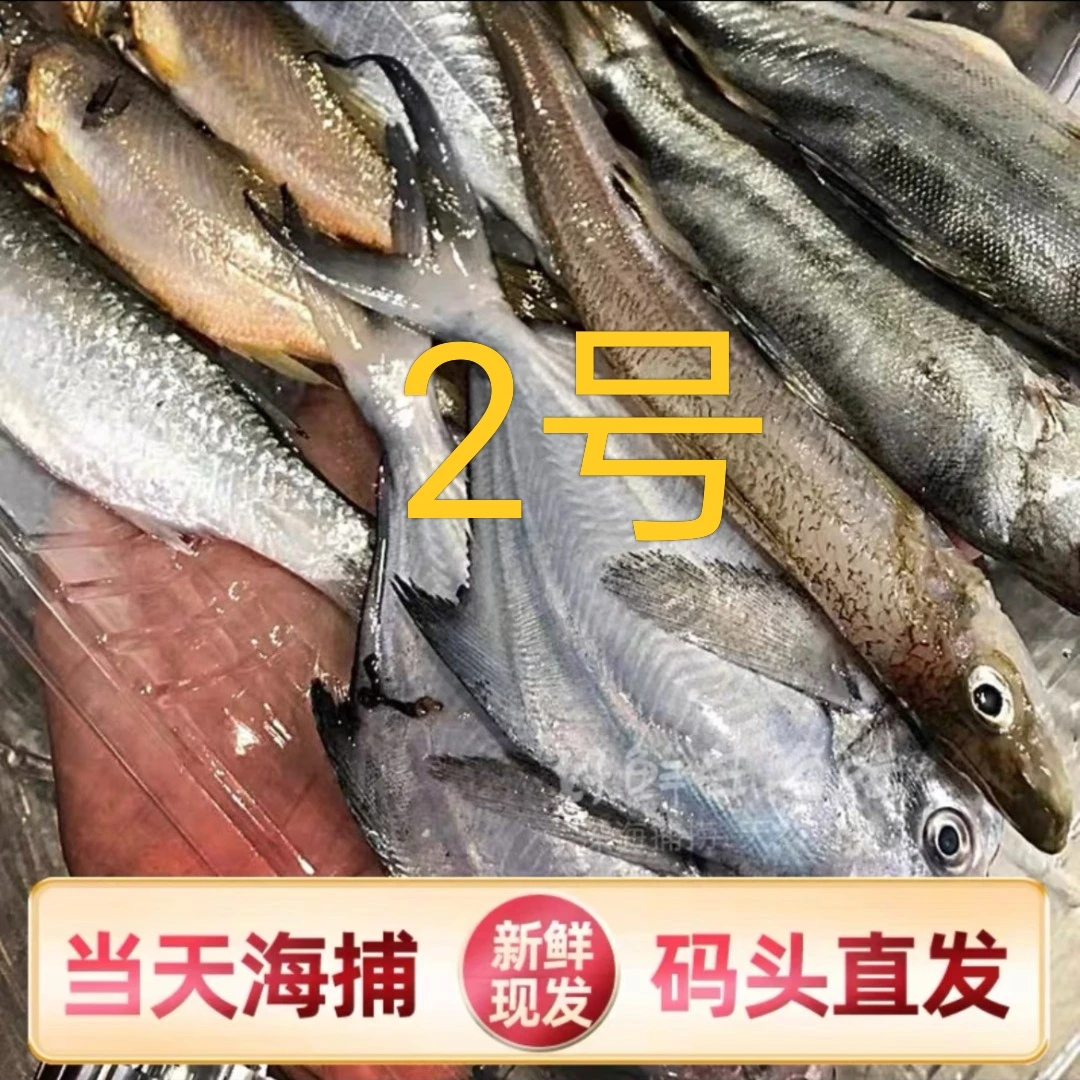 【当天海捕2号】野生杂鱼虾蟹鱼贝生鲜改价链接一斤装海鲜