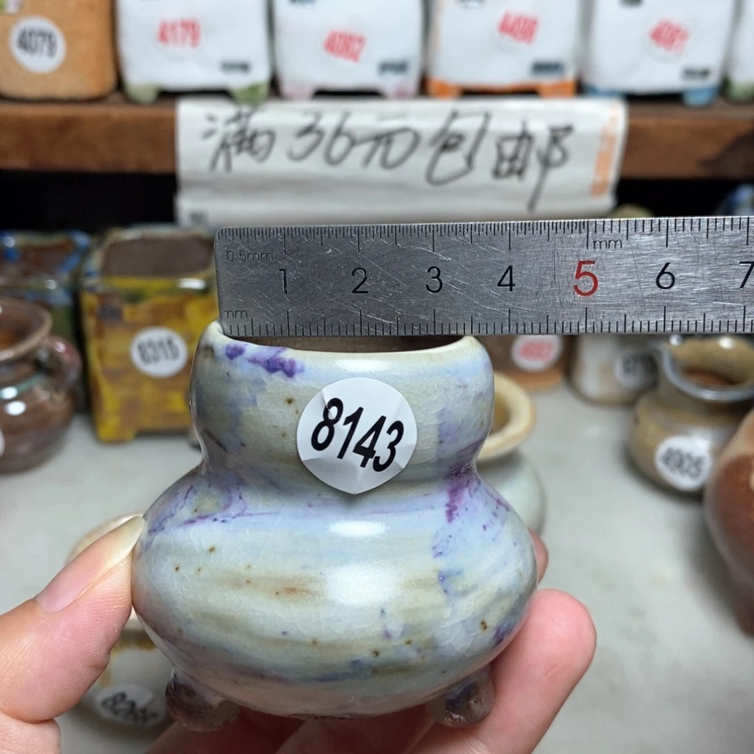 拍5送一个小礼物