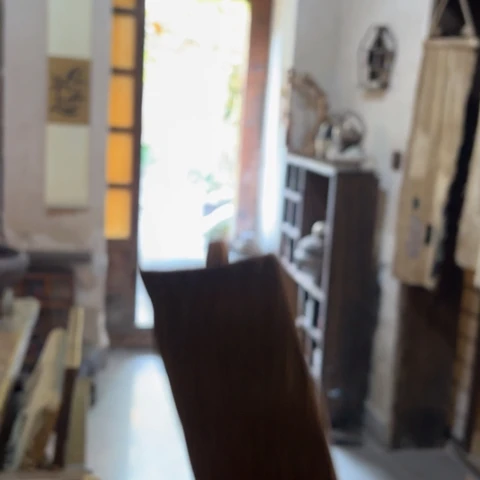 ༺****༻天天开心时时快乐