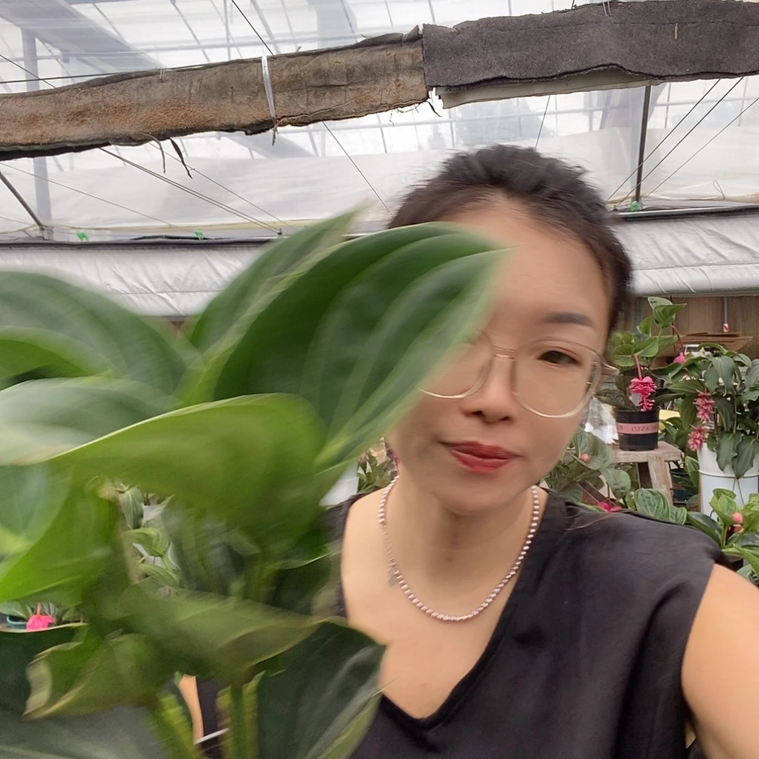 龙***涯宝莲灯一物一拍一