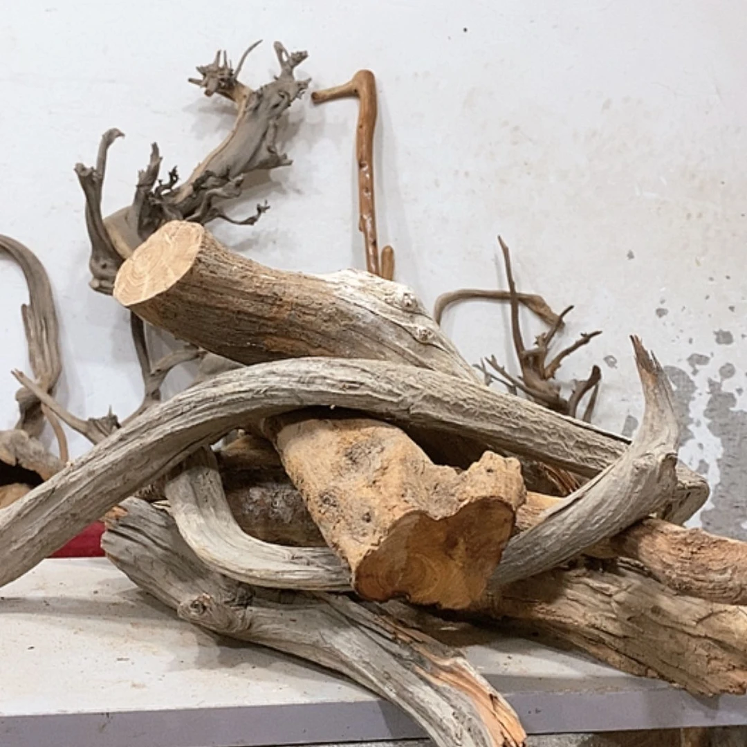 【闪购商品】柏木小*我们都是好孩子