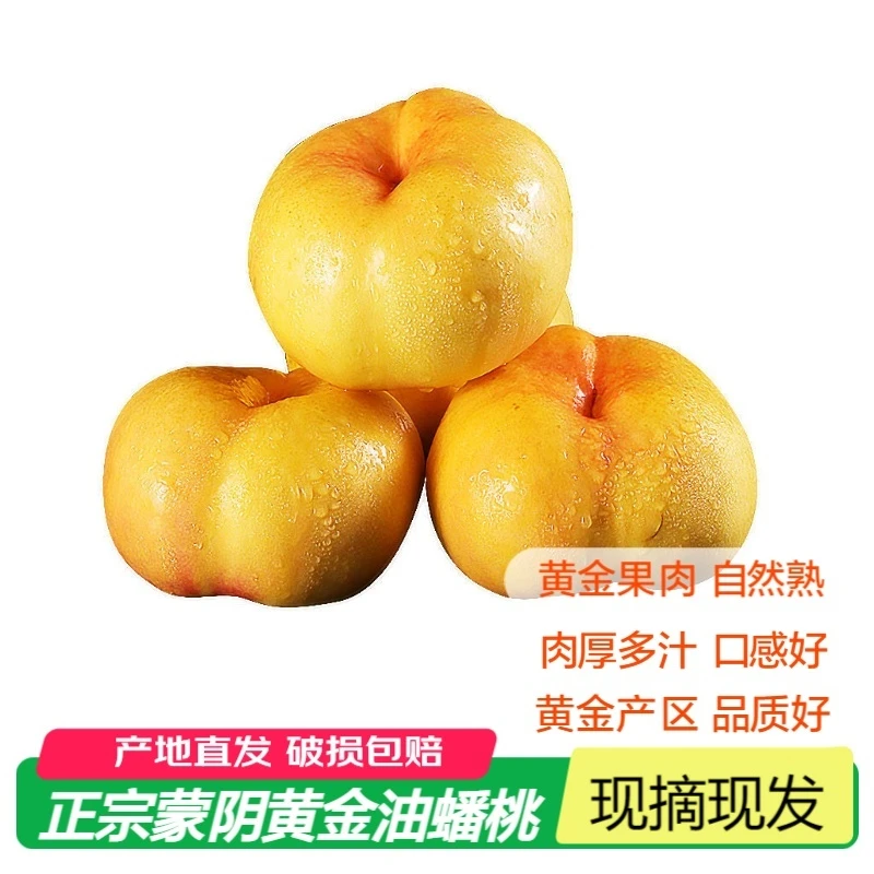 山东蒙阴黄金油蟠桃 水蜜桃蒙阴蜜桃黄桃水果彩虹蟠桃现摘现发