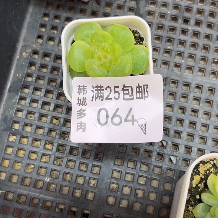 064  一个满25包邮