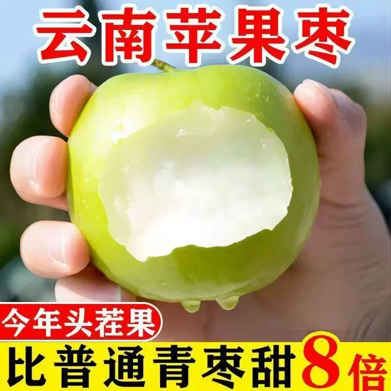 正宗版纳苹果枣大果爆汁应季水果清甜无渣台湾蜜枣当季冬枣包邮