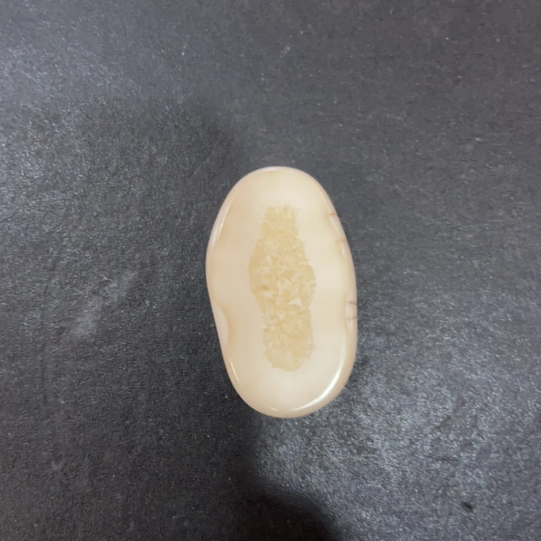 猛犸虬约29.3克饼子配饰TD362