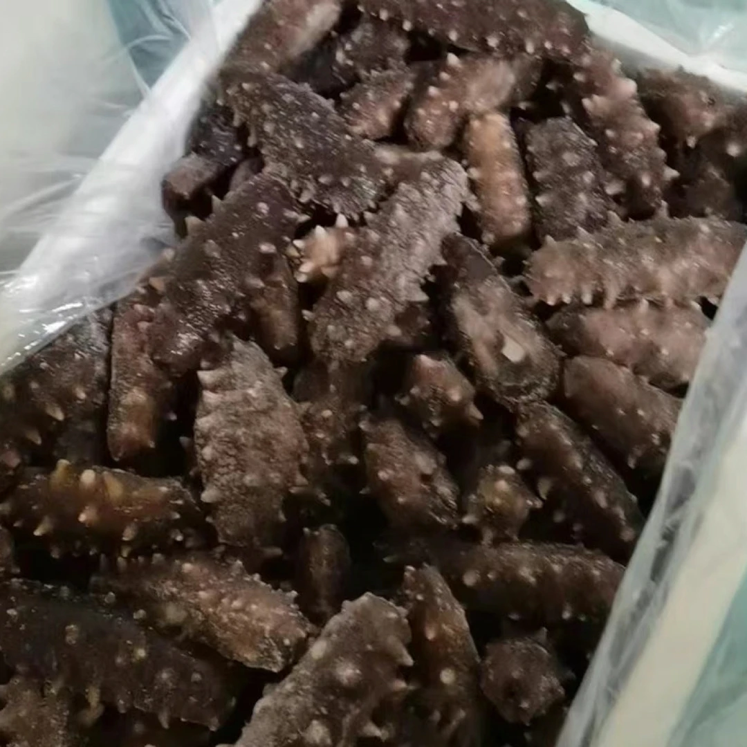 海参残参丑参野生海参干货即食参海参