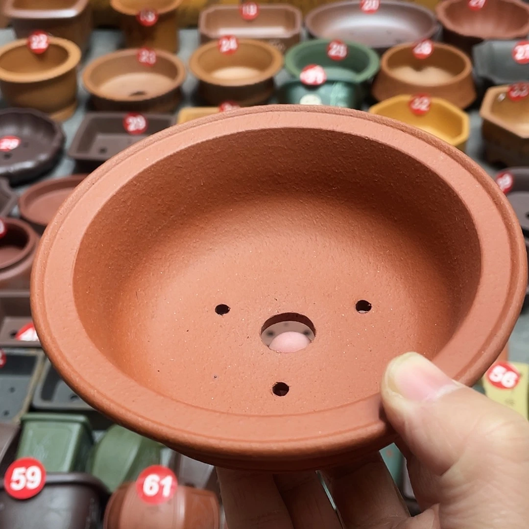 紫砂小盆11*3.5cmmmmm