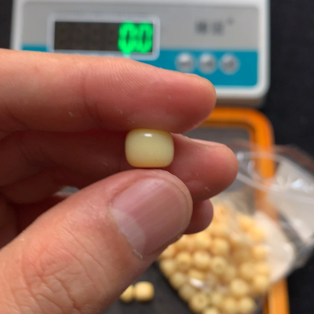 猛犸猛犸猛犸猛犸猛犸d8