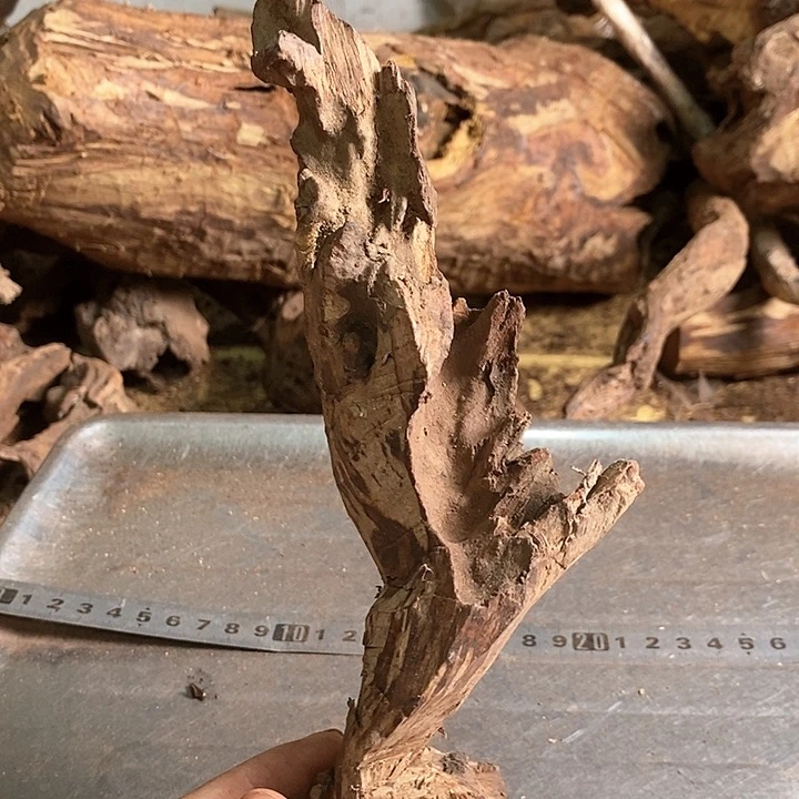 花梨木类简**活海南花梨