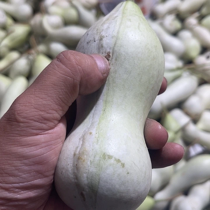 非洲紫檀（红花梨）爱*说