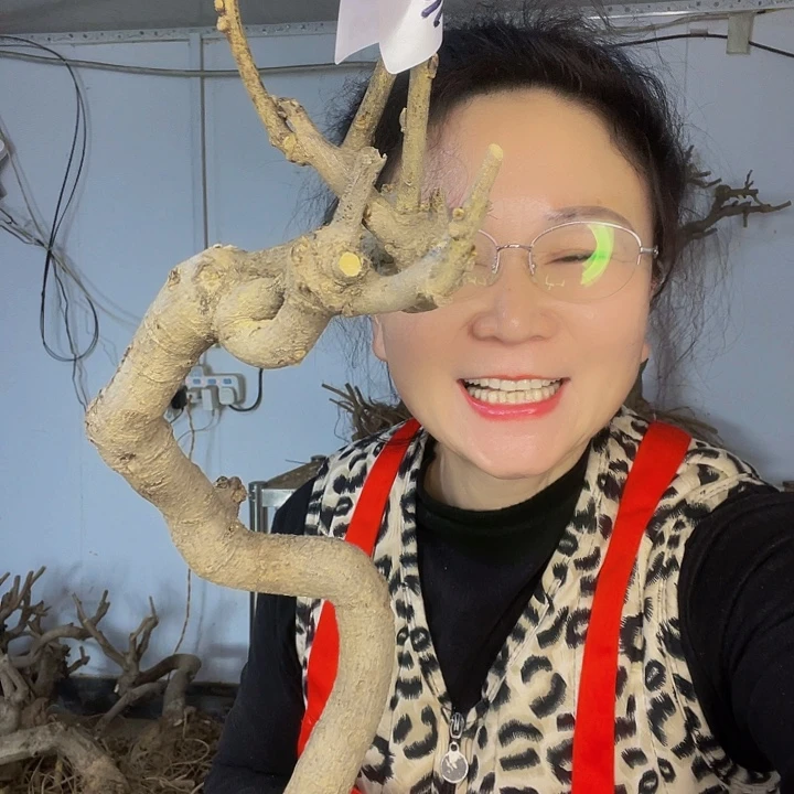 水牛皮（革）槐***嘉物