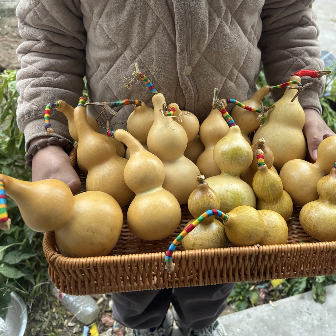 天然小葫芦文玩葫芦可盘玩手把件
