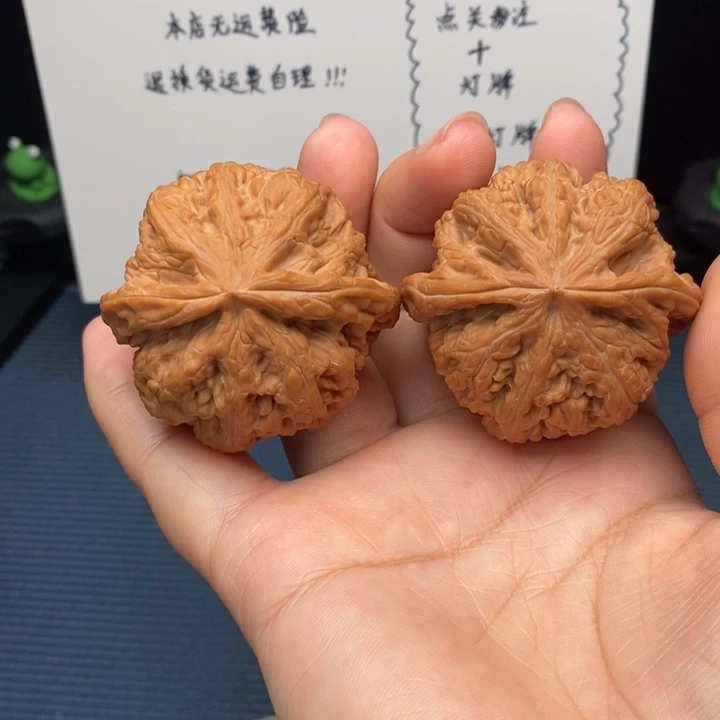 46尺寸全品大粗筋