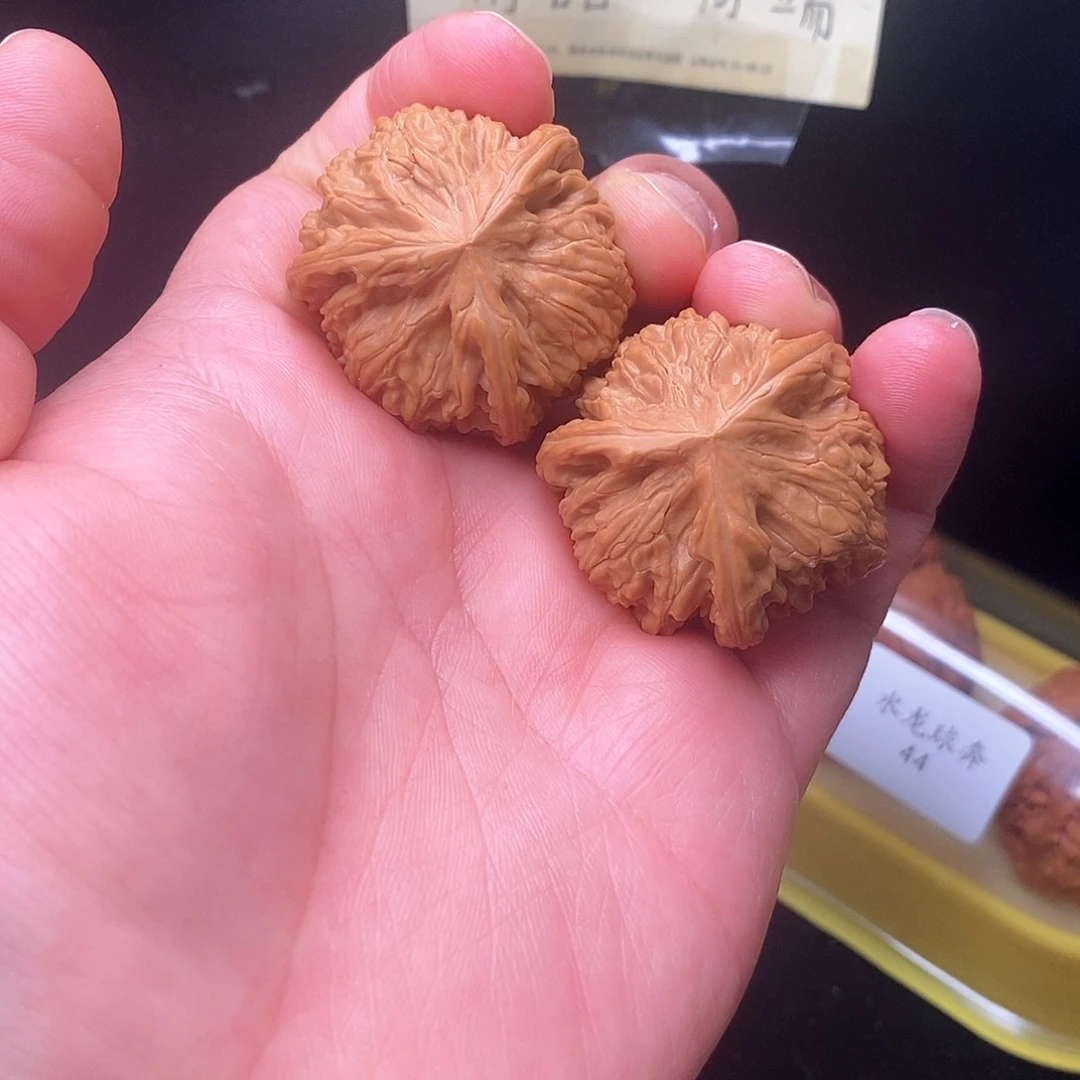 37御龙粗筋正球奔jing oin