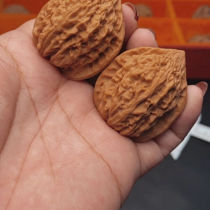 核桃金牛37尺核桃