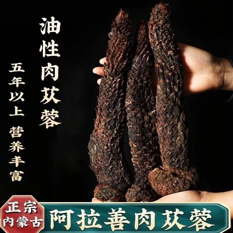 正宗内蒙古阿拉善荒漠肉苁蓉可泡水炖汤泡酒的沙漠油苁蓉