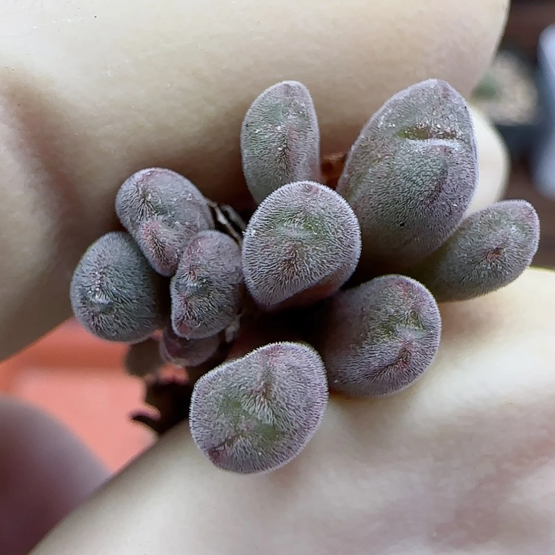 风****d820福利福利福利