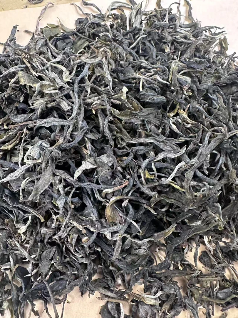 【滥田古树】2024年云南普洱茶头春生茶500g