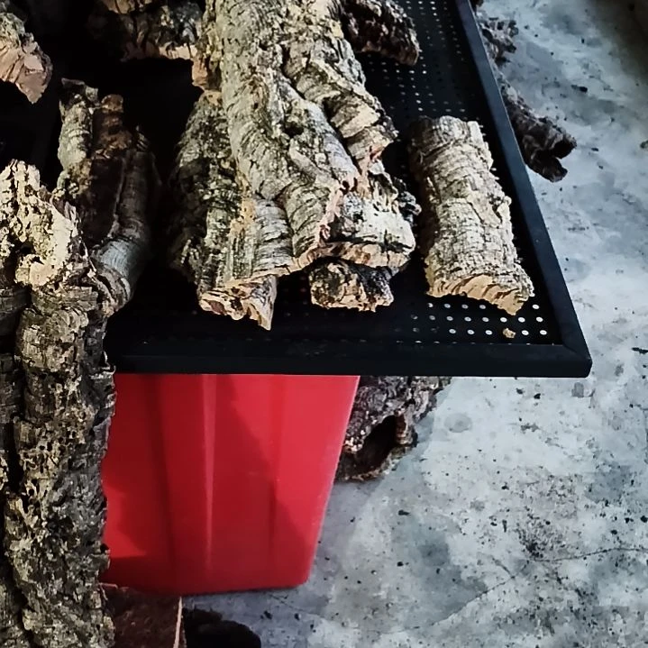 小***乐一物一拍一物一发
