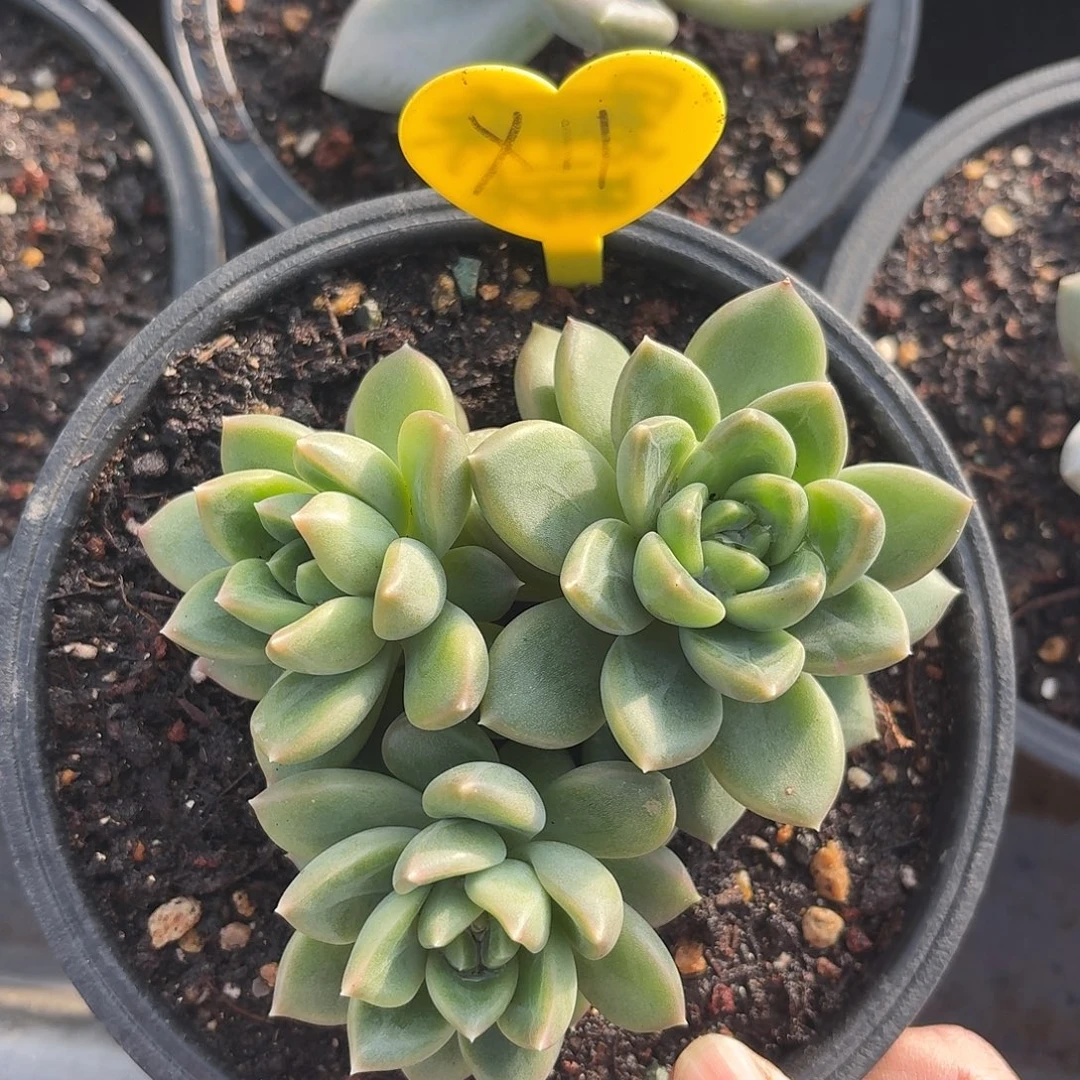 绿泡泡00000000000000