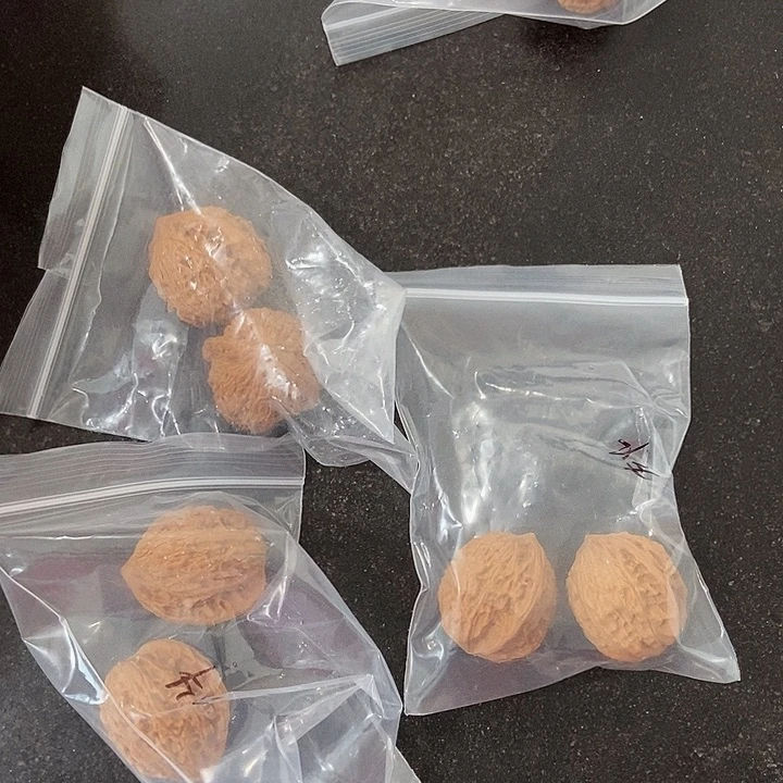 吊坠文玩核桃小牛