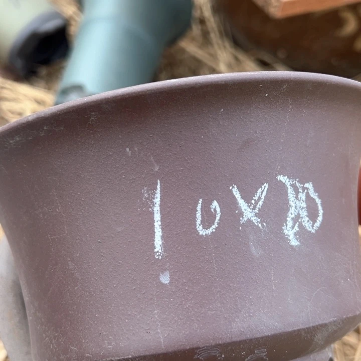 红陶紫砂碗盆口20