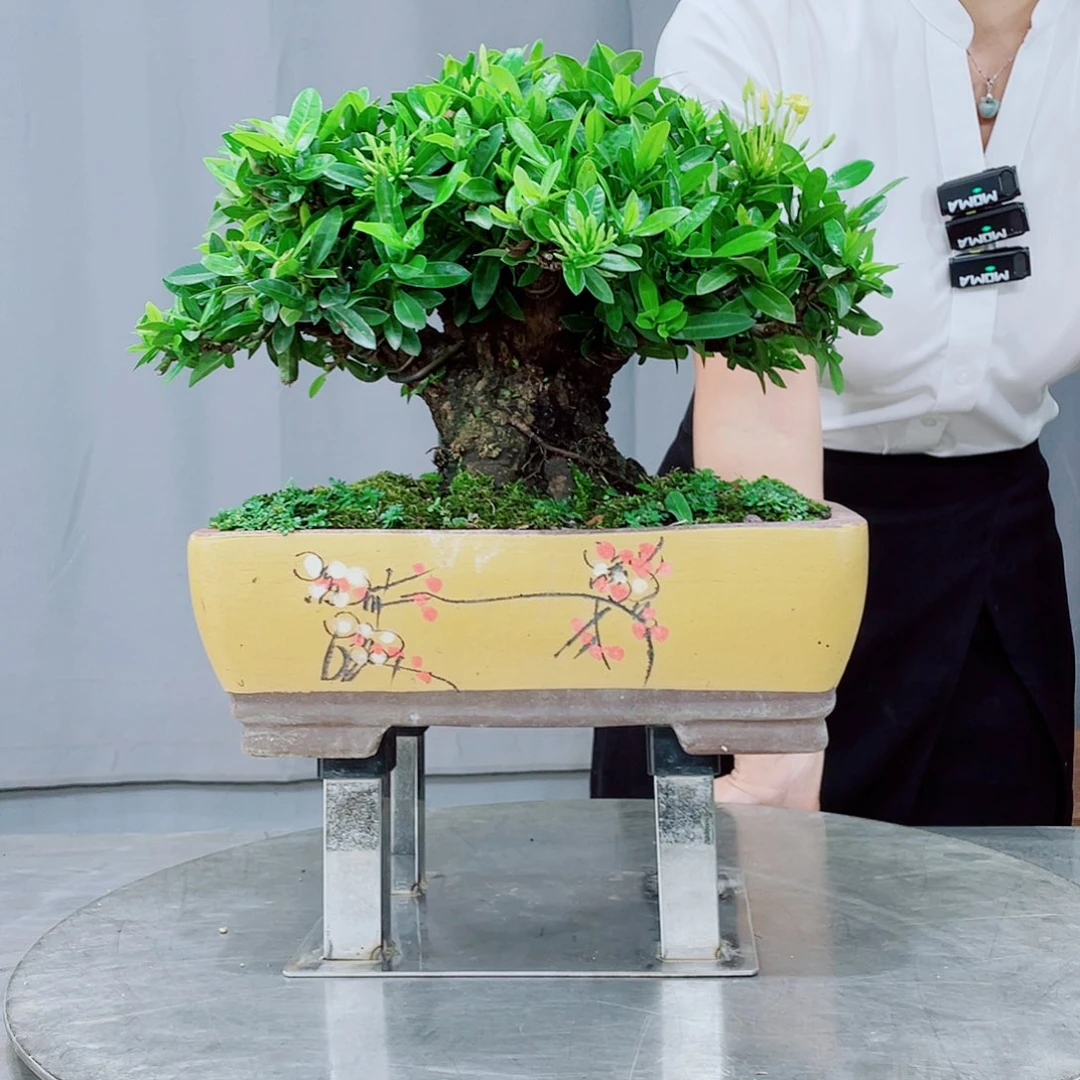 用***5无花朵岭南文化艺术中心的