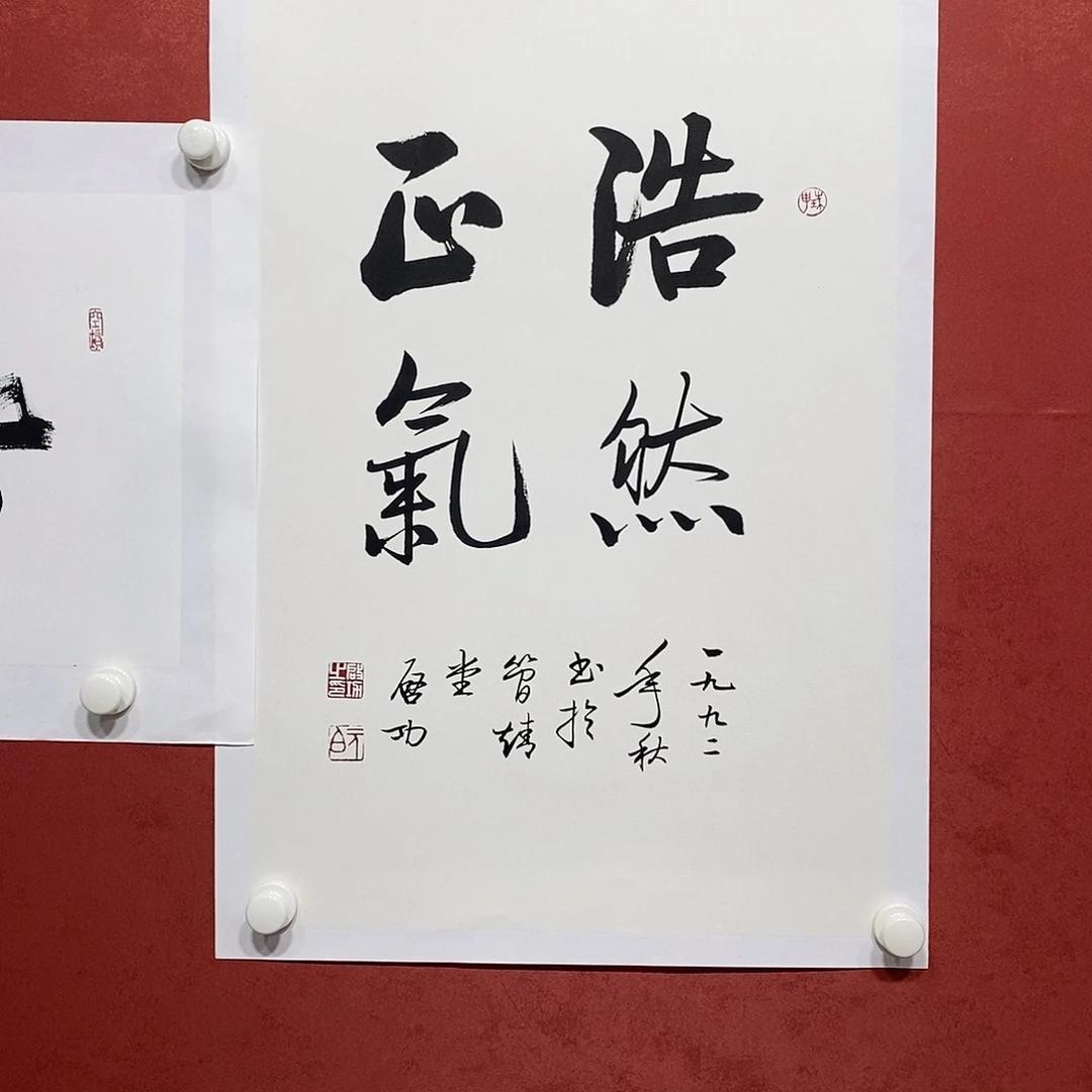 浩然正气直播大咯