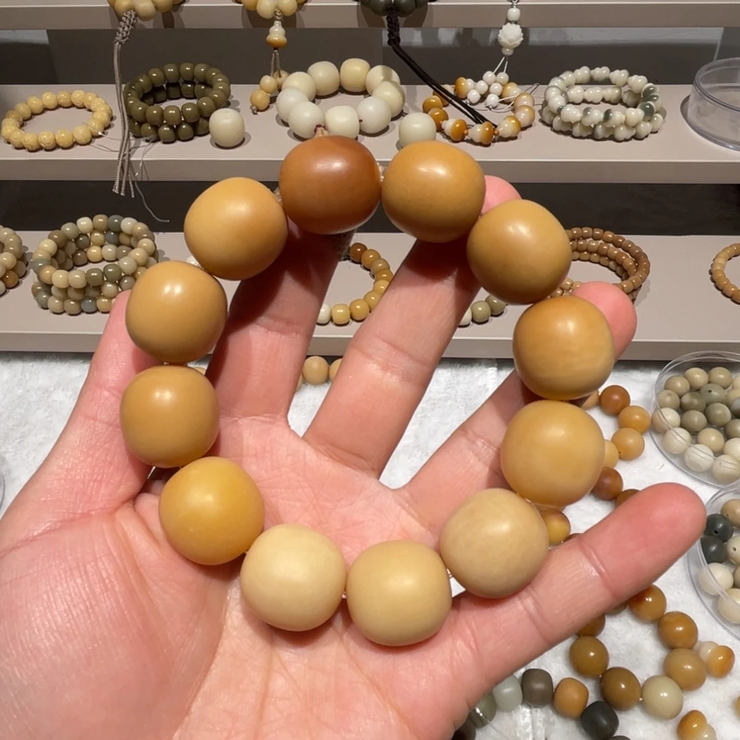 吊坠菩提根/象牙果