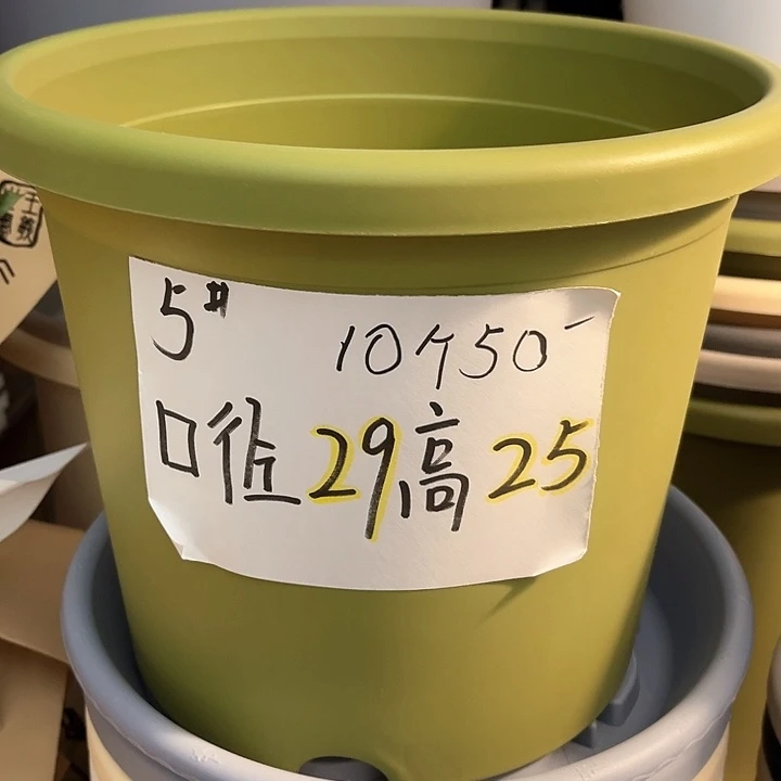 树脂四季盆5号果绿10个，无托