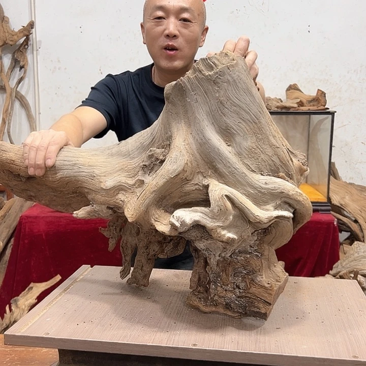 柏木工*品我们都是好孩子呀我也是