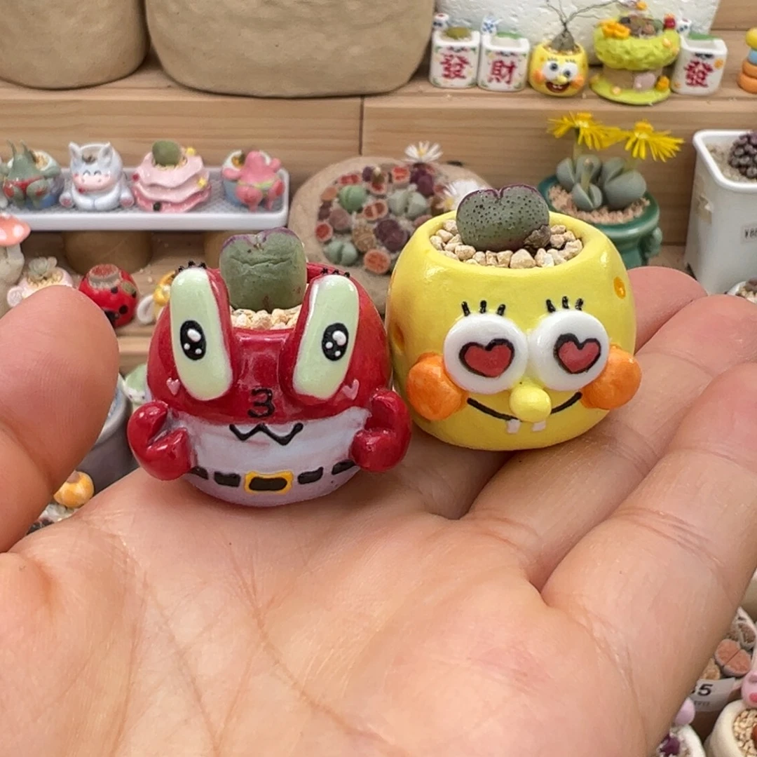 多肉植物70号一起