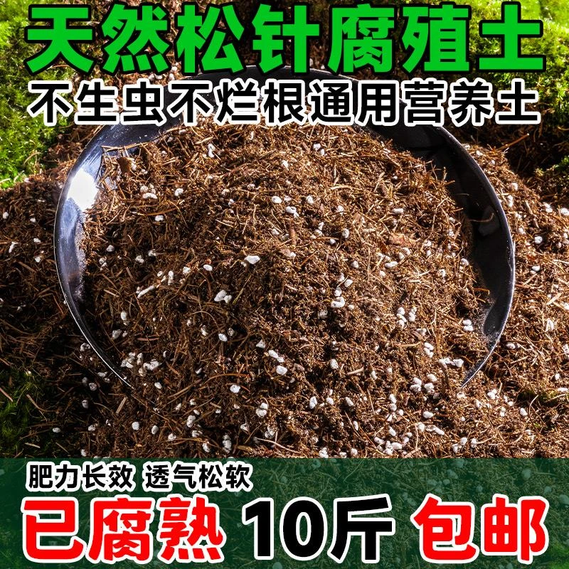 松针腐殖土天然腐叶腐熟君子兰花多肉泥炭营养土养花通用专用土