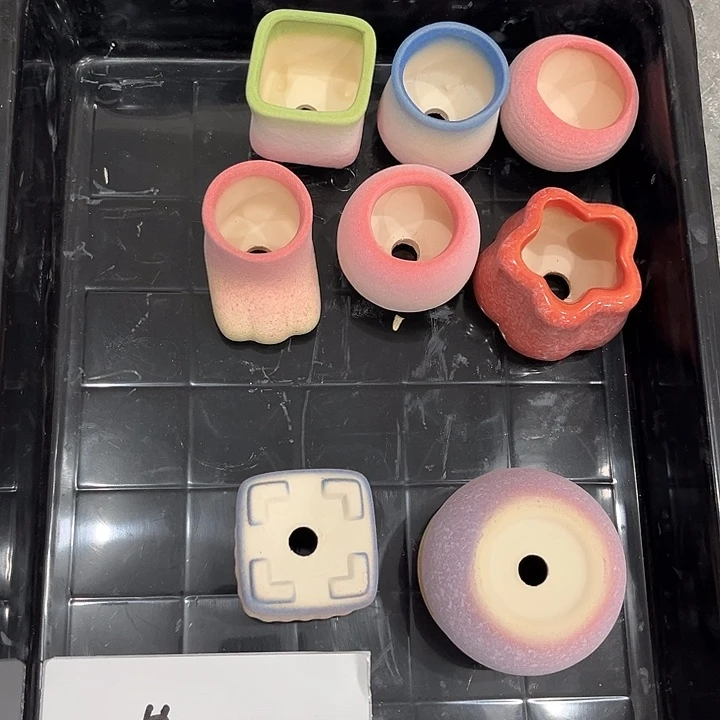 陶若无小姐姐专属花盆盆