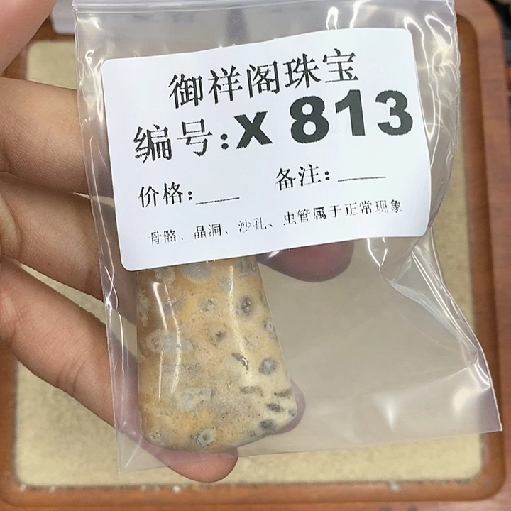 硅化珊瑚（珊瑚玉）颈饰未镶嵌飘