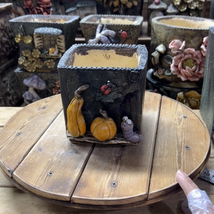 青藤多肉花盆百搭