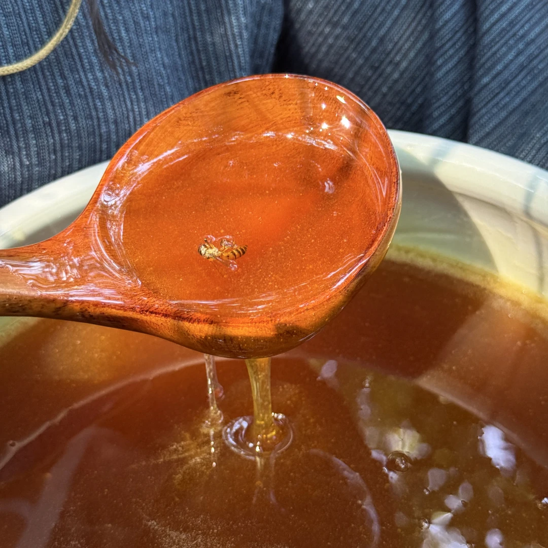 「雪儿姐姐专属」「假一赔十」石门蜂蜜中蜂百花蜜500g