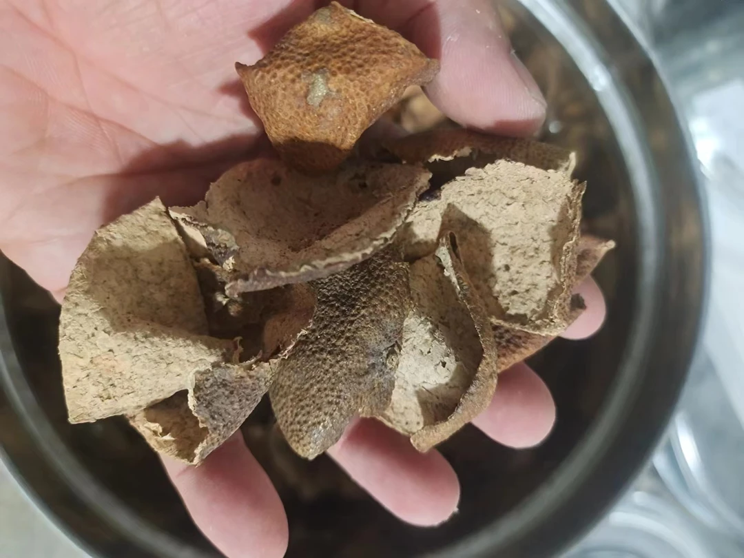 【2004年薄荷香药香二红皮】直播间通用链接新会陈皮老陈皮