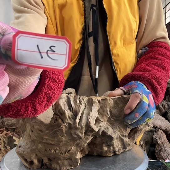 老***影紫砂噜啦啦啦啦啦啦