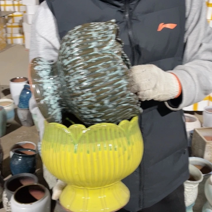 正品两个20/20系列